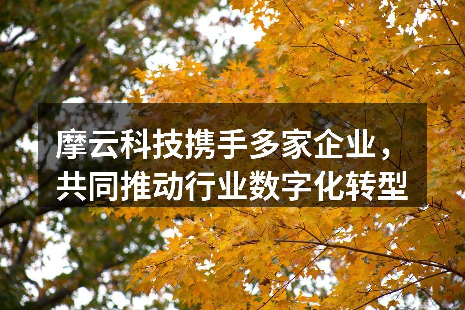 摩云科技携手多家企业,共同推动行业数字化转型